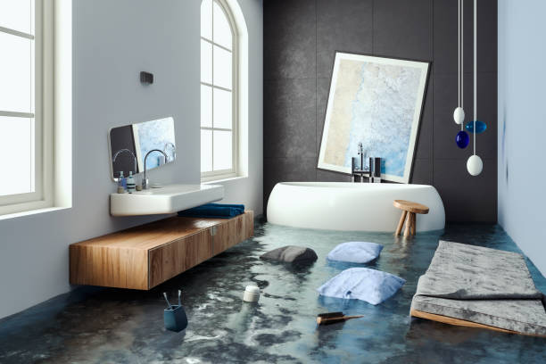 Water damage restoration mold remediation in Moville, IA