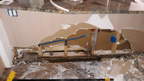 Best Sewage cleanup and water damage restoration  in Moville, IA