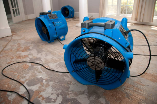 Best Flood restoration services  in Moville, IA