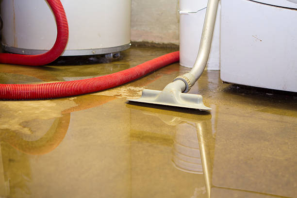 Moville, IA Water damage restoration Company