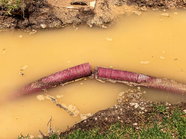 Best Water damage restoration near me  in Moville, IA
