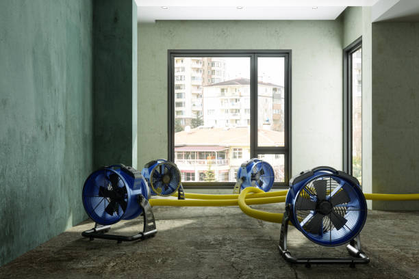 Best 24/7 water damage repair  in Moville, IA